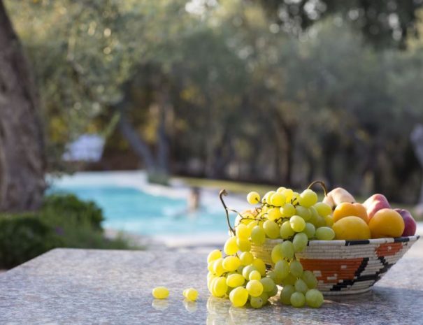 Alghero fruits in garden